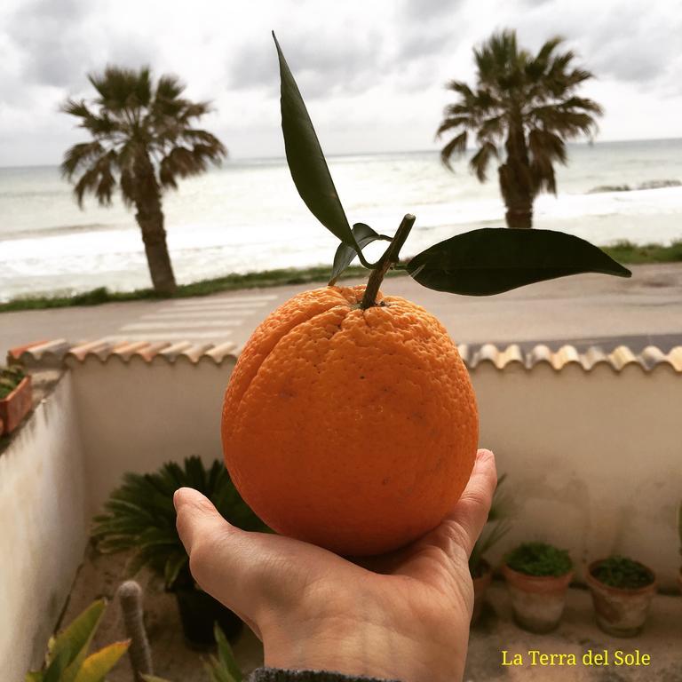 Terra Del Sole Ribera Lejlighed Eksteriør billede
